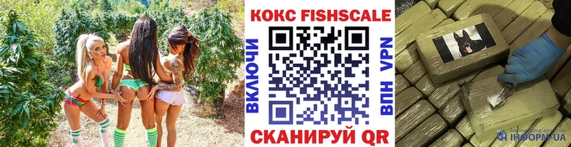 Купить где  Покачи  Cocaine 99% 