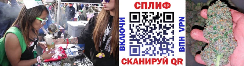 Купить  Покачи  МАРИХУАНА сатива 